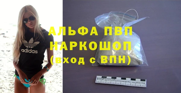 прущие крисы Бородино