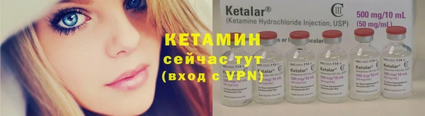 прущие крисы Бородино