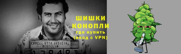 прущие крисы Бородино