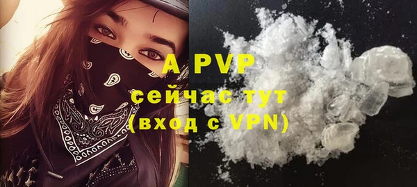 прущие крисы Бородино