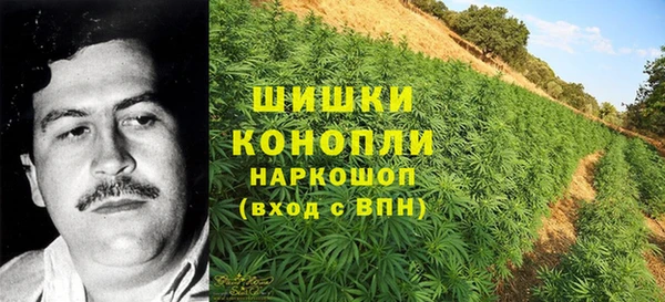 ECSTASY Бронницы