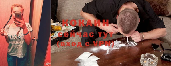 прущие крисы Бородино